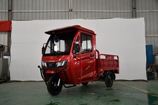 Sofort Elektro Dreirad  80AH